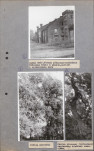EP - Ewidencja parkowa, skan nr 25