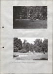 Ewidencja parkowa, skan nr 33