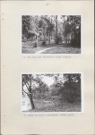 Ewidencja parkowa, skan nr 26