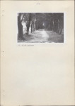 Ewidencja parkowa, skan nr 29