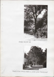 Ewidencja parkowa, skan nr 52