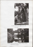 Ewidencja parkowa, skan nr 54