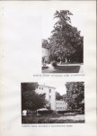 Ewidencja parkowa, skan nr 58