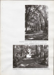 Ewidencja parkowa, skan nr 60