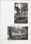 Ewidencja parkowa, skan nr 61
