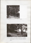Ewidencja parkowa, skan nr 70