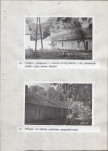 Ewidencja parkowa, skan nr 30
