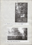Ewidencja parkowa, skan nr 34