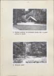 Ewidencja parkowa, skan nr 25