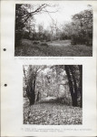 Ewidencja parkowa, skan nr 30