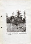 Ewidencja parkowa, skan nr 36