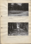 Ewidencja parkowa, skan nr 28