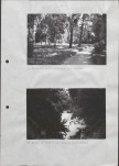 Ewidencja parkowa, skan nr 28