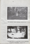 EP - Ewidencja parkowa, skan nr 50
