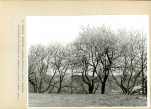 Ewidencja parkowa, skan nr 44