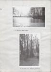Ewidencja parkowa, skan nr 22