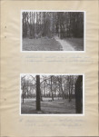 Ewidencja parkowa, skan nr 18