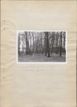 Ewidencja parkowa, skan nr 19