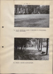Ewidencja parkowa, skan nr 21