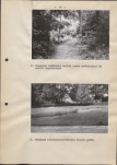 Ewidencja parkowa, skan nr 22