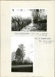 Ewidencja parkowa, skan nr 17