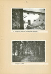 Ewidencja parkowa, skan nr 24