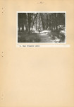 Ewidencja parkowa, skan nr 25
