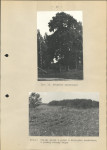 Ewidencja parkowa, skan nr 24