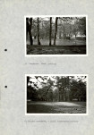 Ewidencja parkowa, skan nr 26