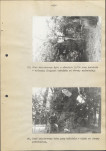 EP - Ewidencja parkowa, skan nr 65