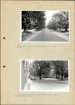 Ewidencja parkowa, skan nr 29