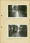 Ewidencja parkowa, skan nr 35