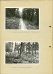 Ewidencja parkowa, skan nr 36