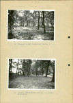 Ewidencja parkowa, skan nr 38