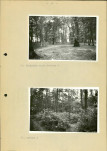 Ewidencja parkowa, skan nr 39