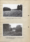 Ewidencja parkowa, skan nr 26