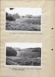 Ewidencja parkowa, skan nr 28