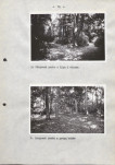 Ewidencja parkowa, skan nr 20
