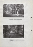 Ewidencja parkowa, skan nr 21
