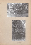 EP - Ewidencja parkowa, skan nr 48