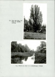 Ewidencja parkowa, skan nr 38