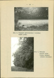 EP - Ewidencja parkowa, skan nr 41
