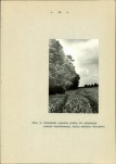 EP - Ewidencja parkowa, skan nr 42