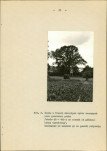 EP - Ewidencja parkowa, skan nr 43