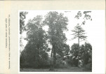 Ewidencja parkowa, skan nr 36
