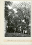 Ewidencja parkowa, skan nr 28