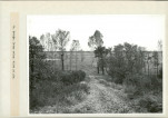 Ewidencja parkowa, skan nr 33