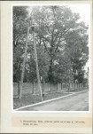 Ewidencja parkowa, skan nr 27