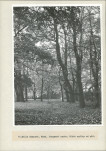 Ewidencja parkowa, skan nr 34
