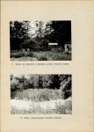 EP - Ewidencja parkowa, skan nr 26